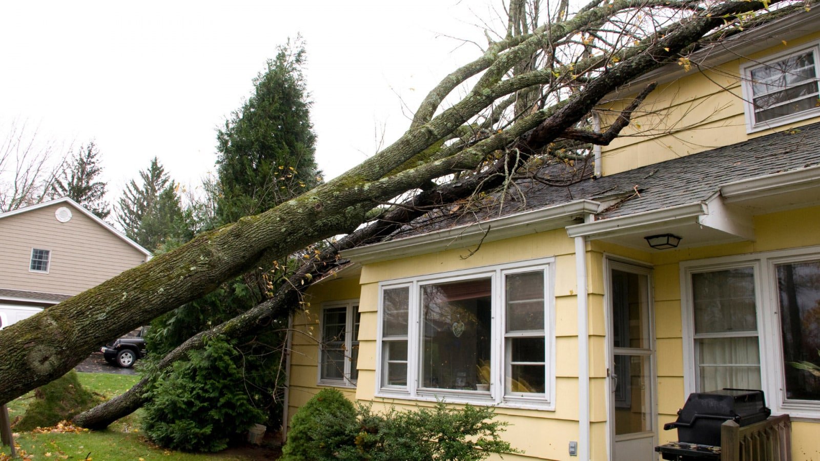 hurricane damage from tree falling on home