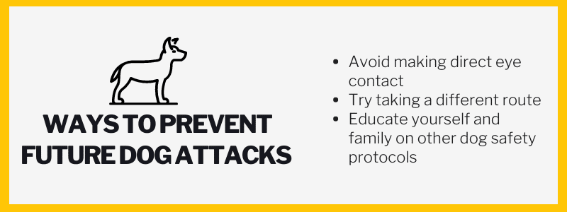Ways to prevent future dog attacks