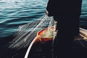 Fisherman using net to catch fish